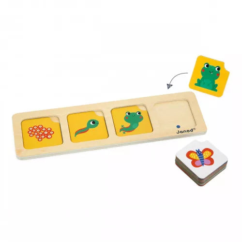 Tarjetas de Secuencias- El Jardín
