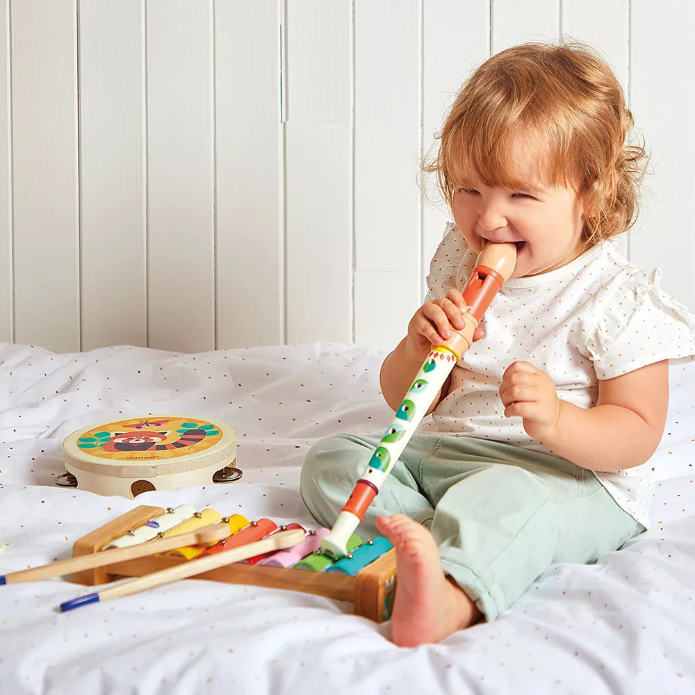 Gioia- Set de Instrumentos Musicales